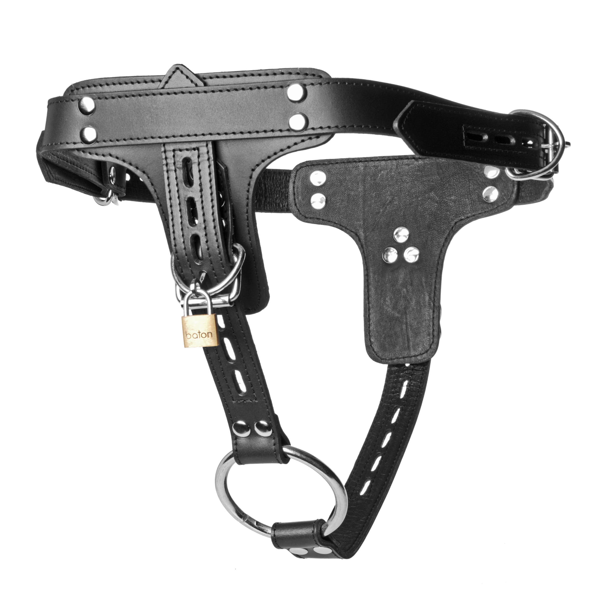 Sensual Moments Premium Locking Leather Cock Ring and Anal Plug Harness, photo 3