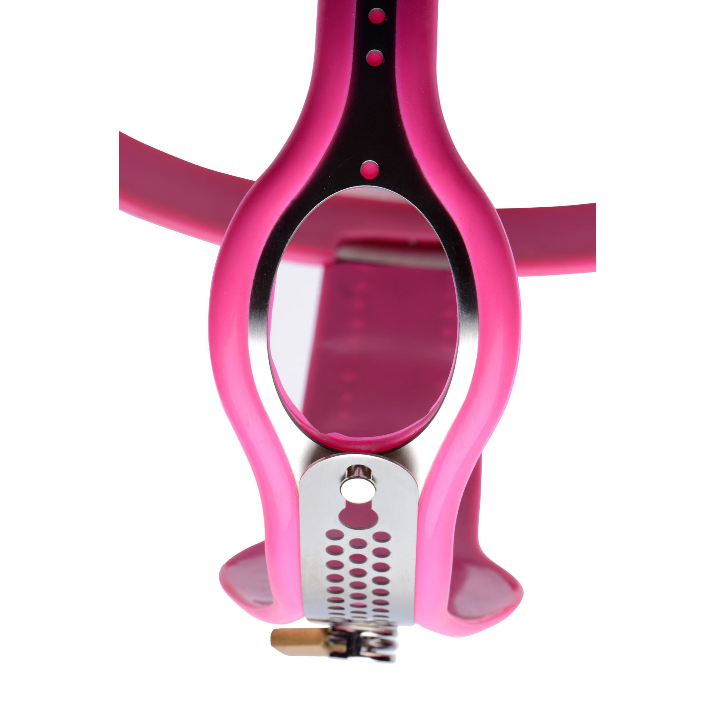 Sensual Moments Pink Stainless Steel Adjustable Female Chastity Belt, photo 4